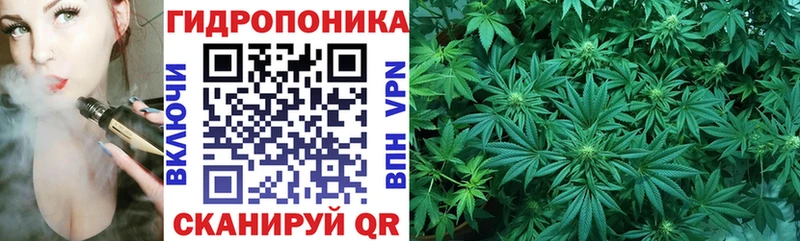 МАРИХУАНА семена  Гвардейск 